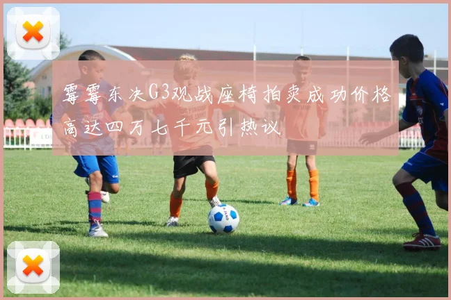 霉霉东决G3观战座椅拍卖成功价格高达四万七千元引热议
